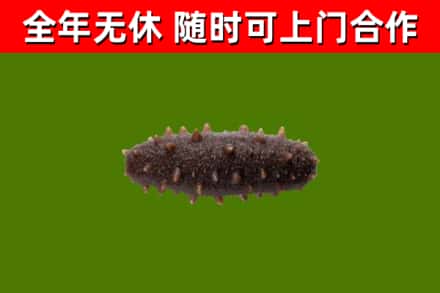 勃利县烟酒回收干海参.jpg